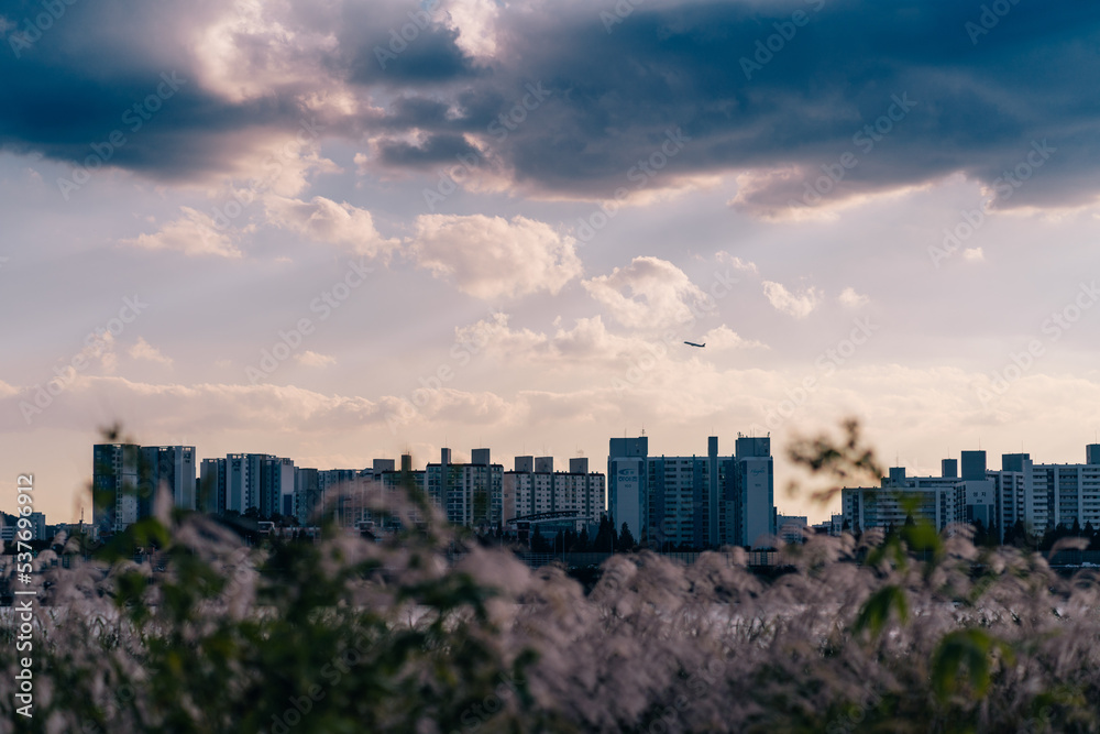 Fototapeta premium sunset over the city