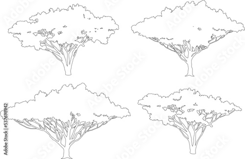 Set of Africa outline trees vector.