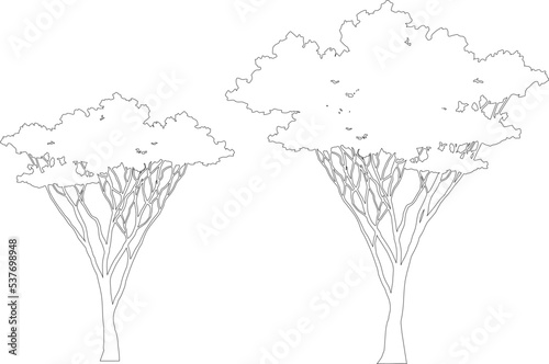 Set of Africa outline trees vector.