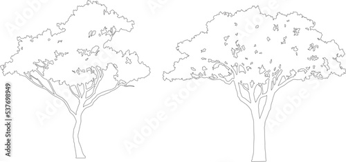 Set of Africa outline trees vector.