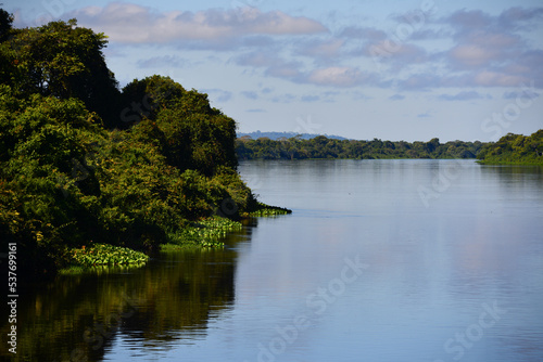 Fototapeta Naklejka Na Ścianę i Meble -  Mid-morning on the rainforest-lined Guaporé-Itenez river, near the remote village of Remanso, Beni Department, Bolivia, on the border with Rondonia state, Brazil
