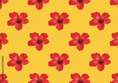 seamless pattern with flowers © pla2u
