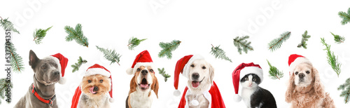 Set of cute animals in Santa hats and Christmas tree branches isolated on white © Pixel-Shot