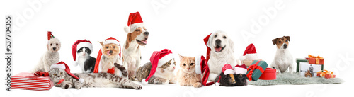Set of cute animals in Santa hats and with Christmas gifts isolated on white © Pixel-Shot