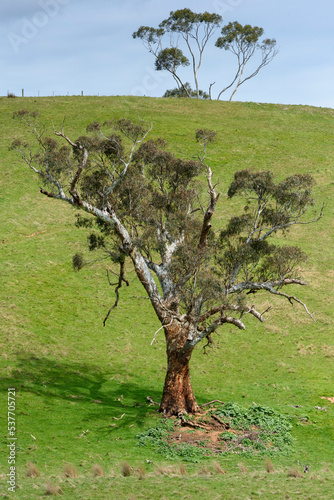 Greendale in country Victoria, Australia photo