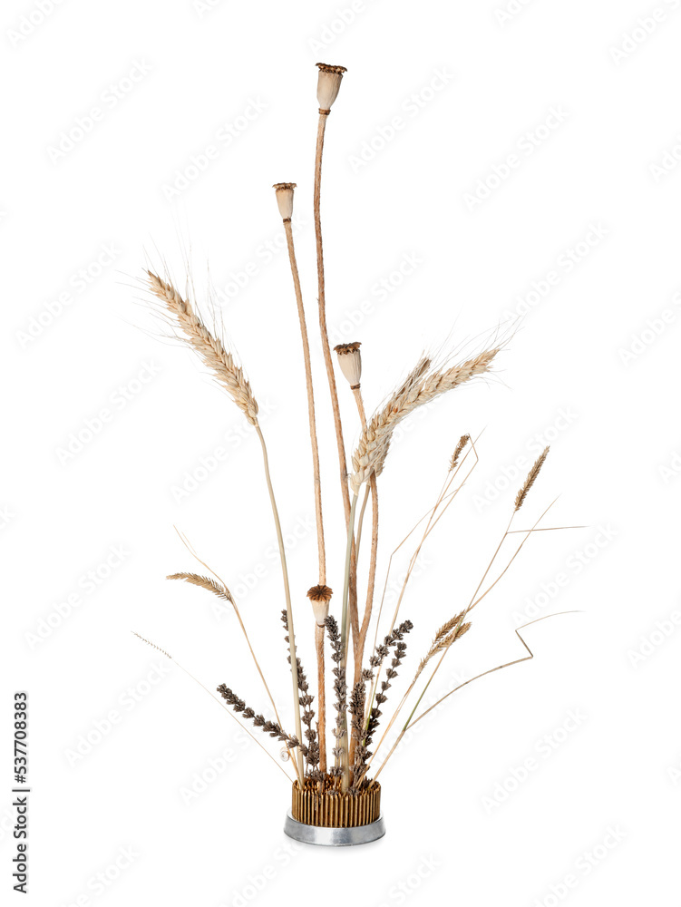 Obraz premium Kenzan with beautiful ikebana on white background