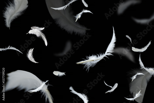 Abstract Group of White Bird Feathers Flying in The Dark. Feathers Floating on Black. 
