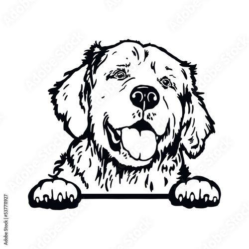 Golden Retriever - Funny Dog, Vector File, Cut Stencil for Tshirt
