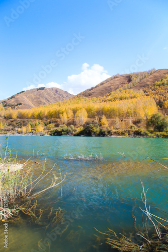 Mountain lake with yellow trees. Autumn landscape. Kyrgyzstan  Ak-Tuz gorge. Natural background.