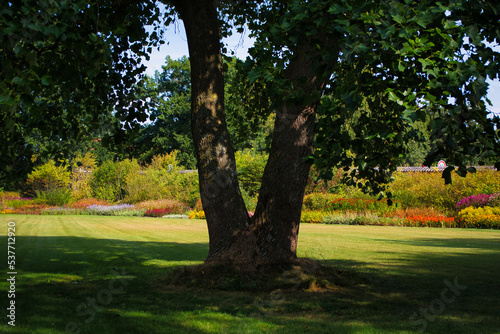 Landscape in the park of Grasten Slot (Grasten Castle), Gr sten, Denmark photo