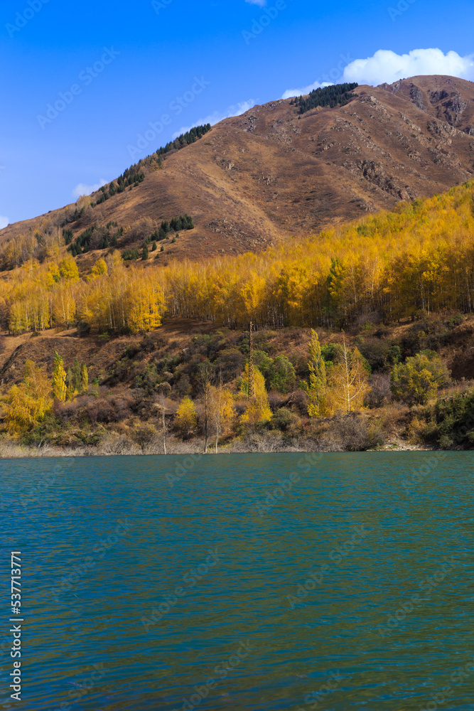 Mountain lake with yellow trees. Autumn landscape. Kyrgyzstan, Ak-Tuz gorge. Natural background.