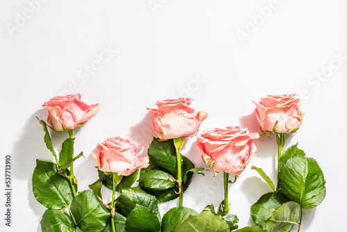 Bouquet of fresh delicate roses isolated on white background. Romantic gift concept, pink flowers