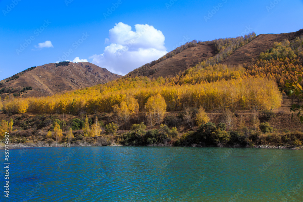 Mountain lake with yellow trees. Autumn landscape. Kyrgyzstan, Ak-Tuz gorge. Natural background. Mountain lake with yellow trees. Autumn landscape. Kyrgyzstan, Ak-Tuz gorge. Natural background.