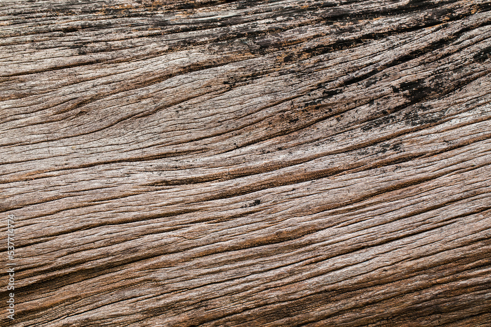 Fototapeta premium brown wooden texture wall pattern background texture.