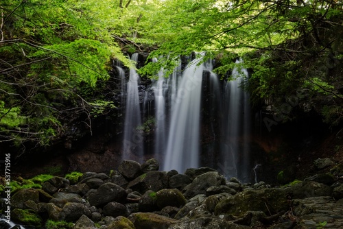 緑の葉と白い滝 © Hiroko