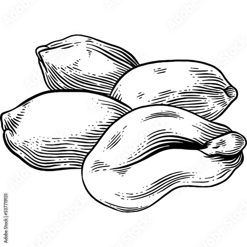 Hand drawn Peanuts Sketch Illustration