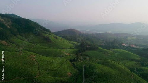 Drone shot of Munnar Tea Plantations photo