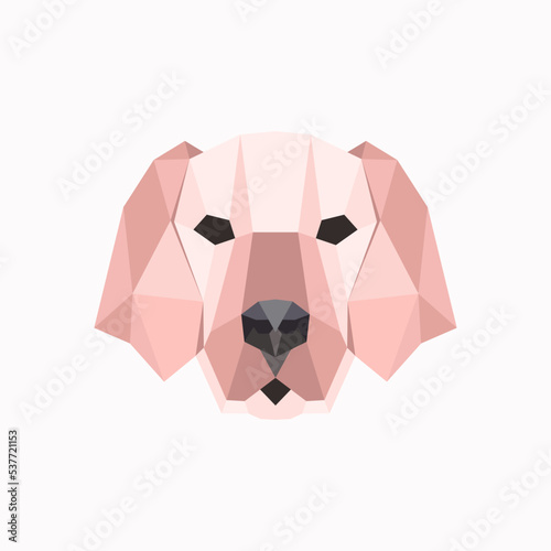 Low poly labrador dog face design, symmetrical vector illustration isolated. Polygonal style trendy modern logo design. Suitable for printing on a t-shirt
