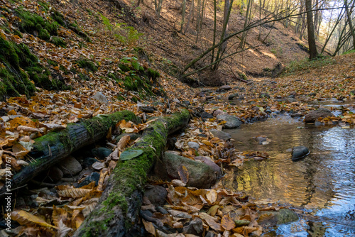 A small stream flowing through a crevice in the forest past rocks and fallen rotten tree trunks. Autumn landscape in a wild remote forest  rocks and tree stumps covered with moss.