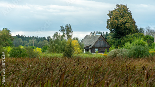 Cozy wooden house in the forest, on the shore of a lake overgrown with reeds. An uninhabited abandoned village house in a cozy and quiet place far from the bustling city. Landscape autumn forest.