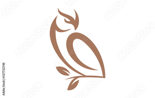 Owl Bird Logo Design Template