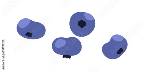 Bog great bilberry, blueberry, whortleberry fruits. Ripe fresh raw blue berries. Sweet vitamin healthy food. Organic forest eating. Flat vector illustration isolated on white background