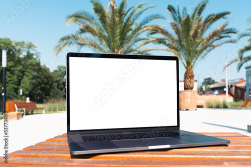 Wallpaper Mural laptop mockup. Notebook with white screen with palm tree leafs on background. Vacation, traveling and remote work and study concept. Empty copy space, blank screen modern laptop. Torontodigital.ca