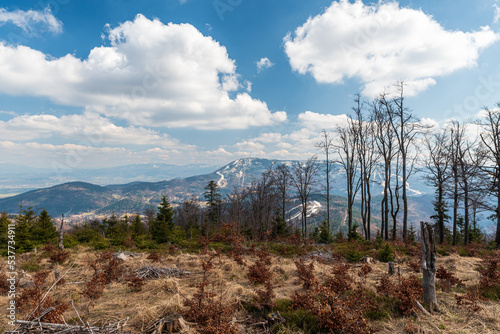 Fototapeta Naklejka Na Ścianę i Meble -  Skrzyczne and Pilsko hills from Trzy Kopce hill in Beskid Slaski mountains in Poland