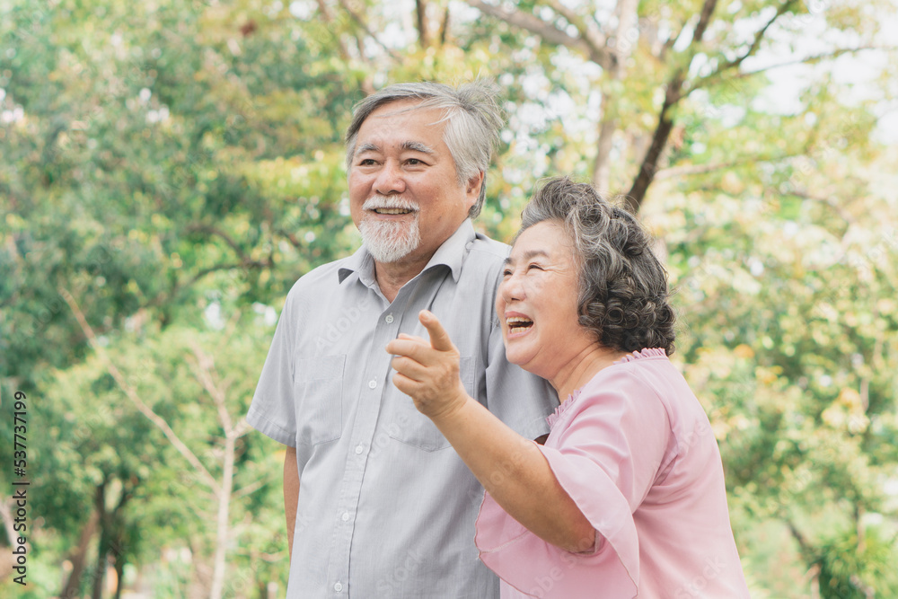 elderly healthy asian couple smile and relax in the park together elderly healthy asian couple smile and relax in the park together