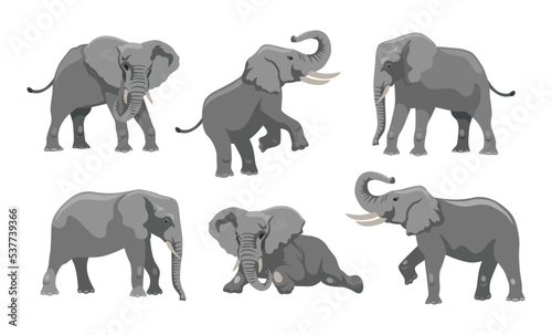 Gray elephant in different positions cartoon illustration set. Big African mammal character with large ears and trunk walking, lying and jumping on white background. Animal, zoo, wildlife concept