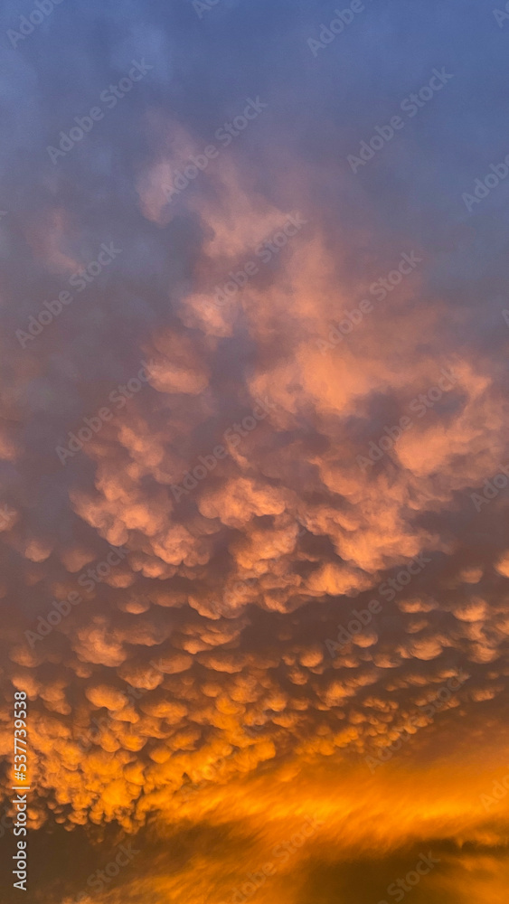 Fluffy cotton wool-like clouds in the orange light of the setting sunin Christchurch, New Zealand.