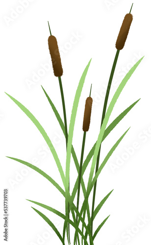 Set of Reed plant mace cat tails painting