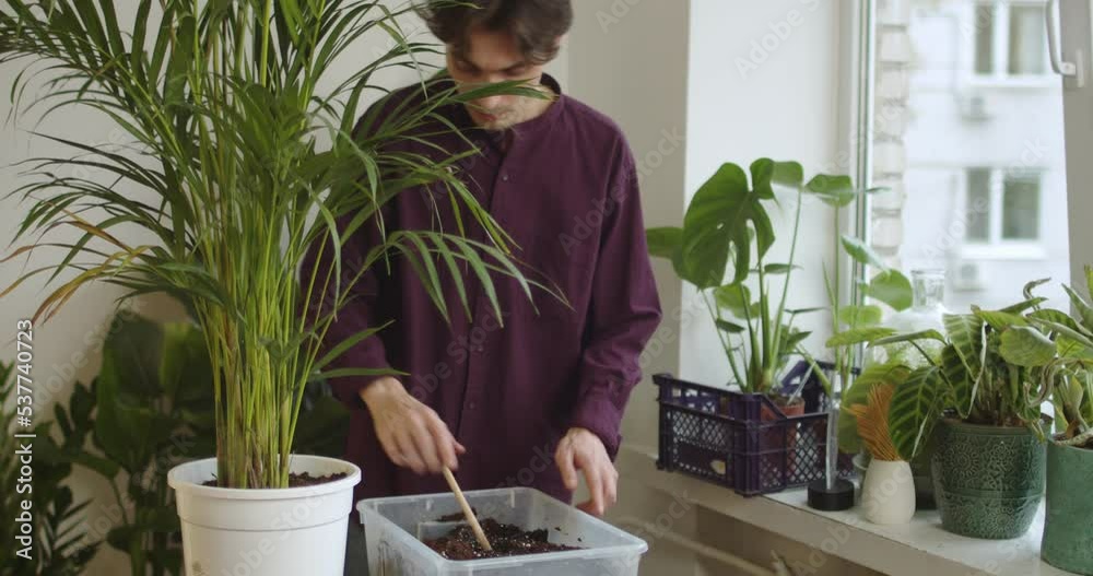 Man taking care of plants while doing home gardening at home Man taking care of plants while doing home gardening at home
