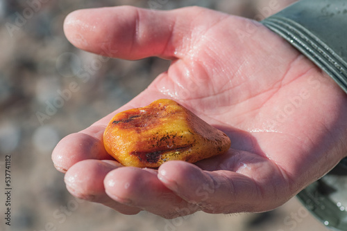 Amber catching in the Baltic Sea. Beautiful big rare piece of amber in the wet hand of an amber catcher or fisherman, close up photo