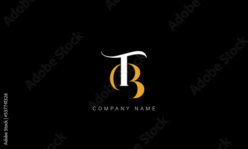 BT, TB Abstract Letters Logo Monogram