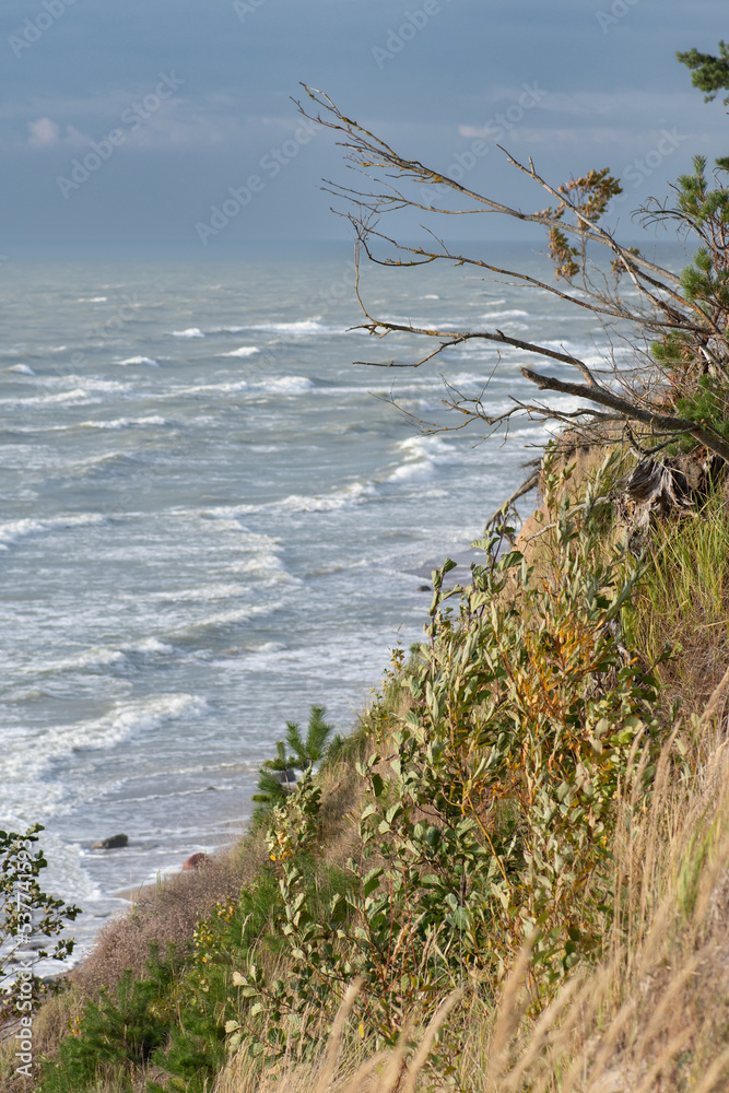 Beautiful rough grey sea with waves, dramatic cloudy grey sky with reeds and dry grass own the cliff, travel and holidays concept, sea landscape on the Baltic Sea in Lithuania, vertical Beautiful rough grey sea with waves, dramatic cloudy grey sky with reeds and dry grass own the cliff, travel and holidays concept, sea landscape on the Baltic Sea in Lithuania, vertical