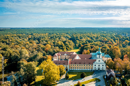 Rudy na Śląsku w Polsce, miejscowość z zabytkowym pałacem i pięknymi lasami. Panorama jesienią z lotu ptaka.