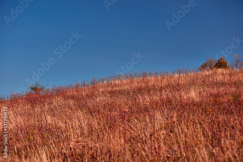 View of countryside hilly landscape in autumn colors.