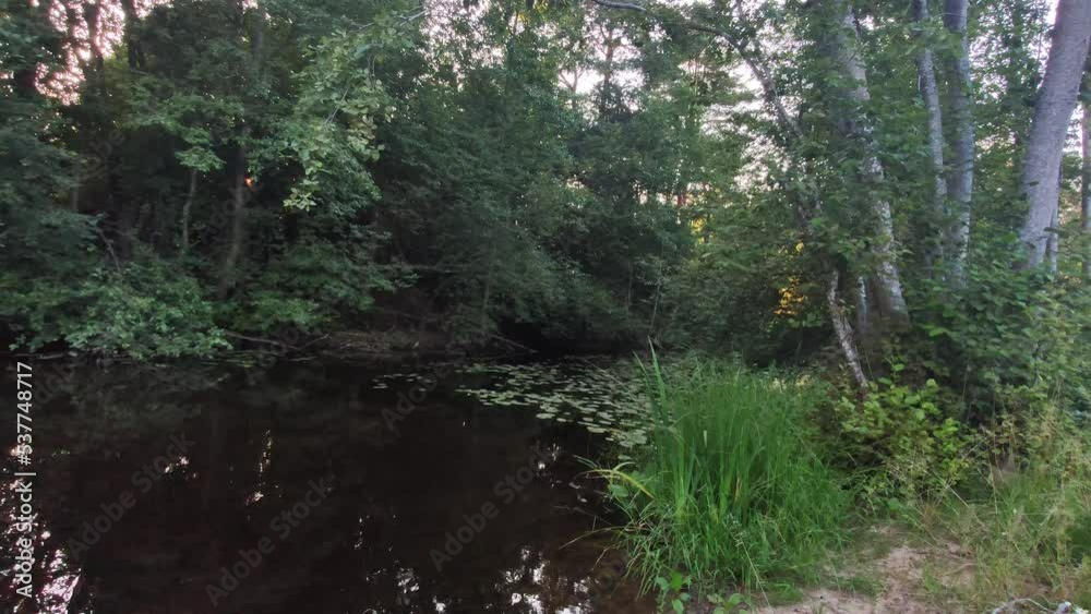 Reflections on the water surface of a forest pond. The trees are reflected in the depths. Reflections on the water surface of a forest pond. The trees are reflected in the depths.
