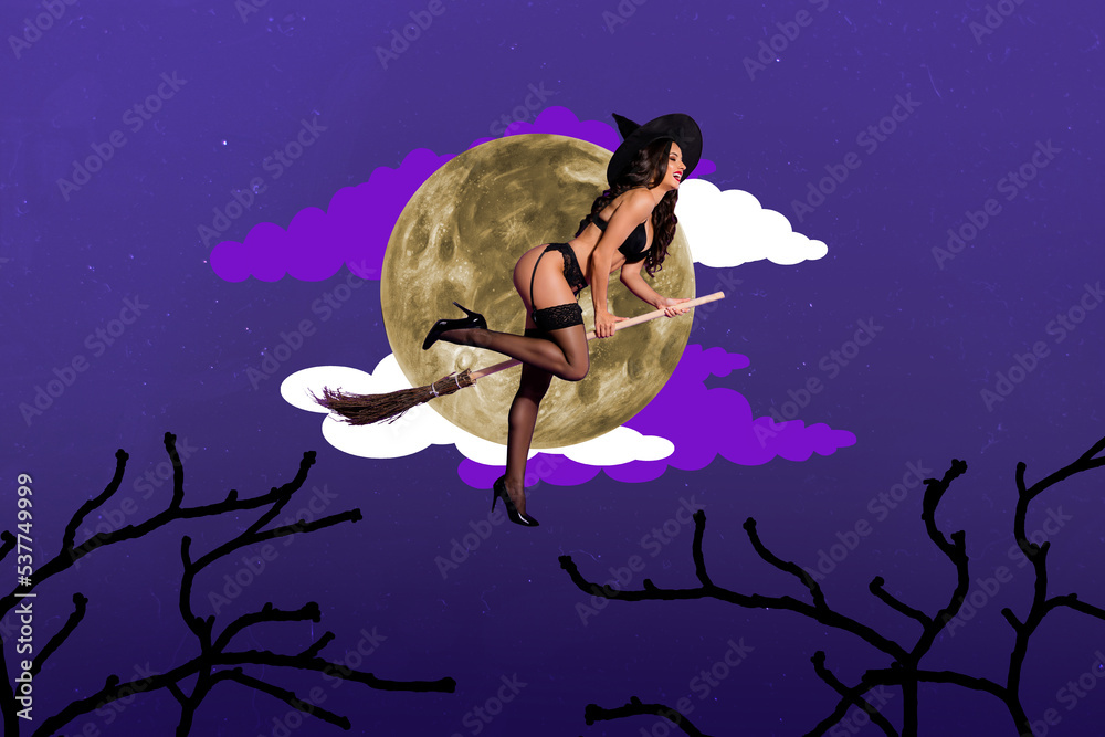 Composite collage picture of hot gorgeous witch girl flying broom stick isolated on full moon night sky background