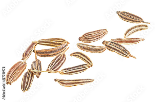 Macro image of cumin seeds isolated on a white background. Caraway seeds. photo