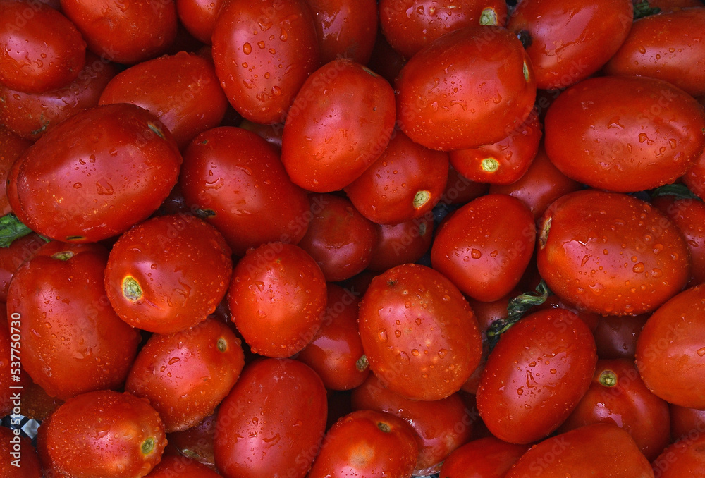 red tomatoes background