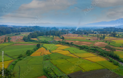 Aerial view of the nature with paddy rice field in the rural scenery