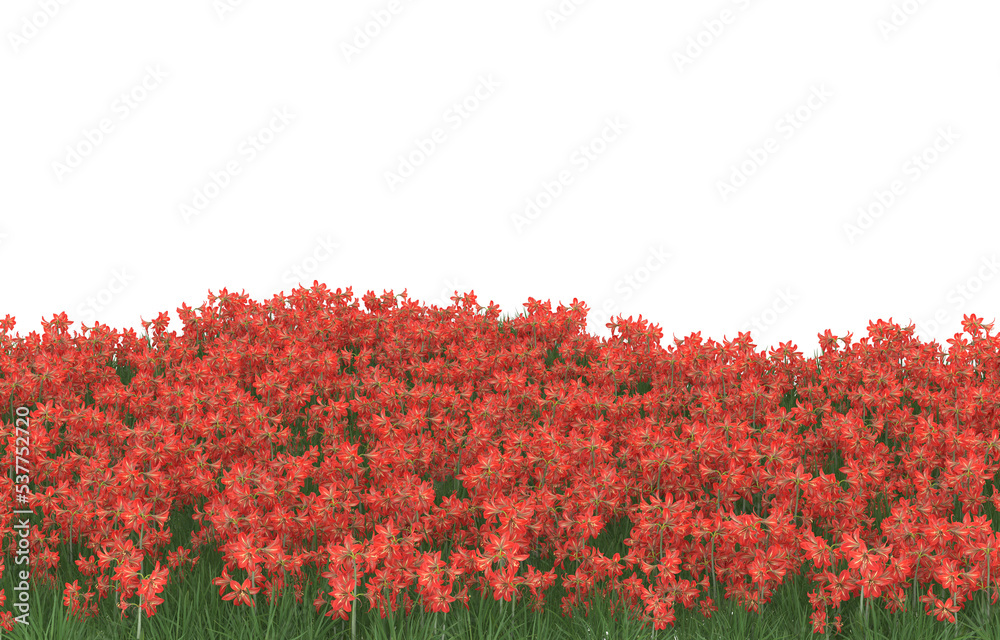 Field of flowers on transparent background. 3d rendering - illustration Field of flowers on transparent background. 3d rendering - illustration