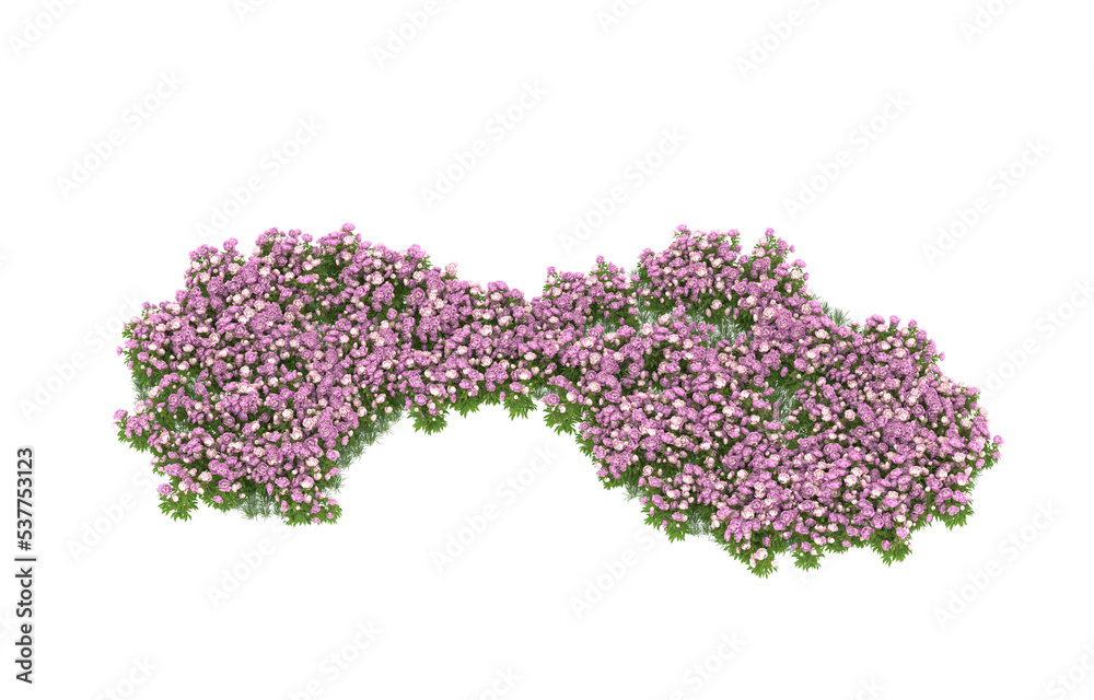 Obraz premium Field of flowers on transparent background. 3d rendering - illustration