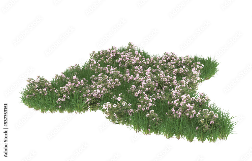 Obraz premium Field of flowers on transparent background. 3d rendering - illustration
