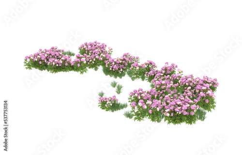 Field of flowers on transparent background. 3d rendering - illustration