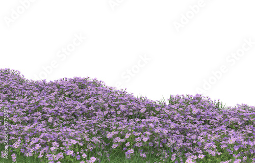 Field of flowers on transparent background. 3d rendering - illustration © Cristian