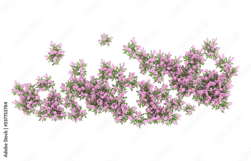 Field of flowers on transparent background. 3d rendering - illustration Field of flowers on transparent background. 3d rendering - illustration