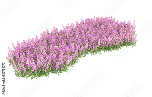 Field of flowers on transparent background. 3d rendering - illustration